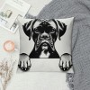 Ulloord Hope You Like Boxers Dog Themed Pillowcase Decorations for Home, Funny German Boxer Dog Love Throw Pillow Cover, Boxer Dog Lover Gifts, Boxer Mom Gifts
